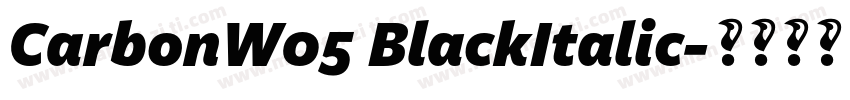 CarbonW05 BlackItalic字体转换